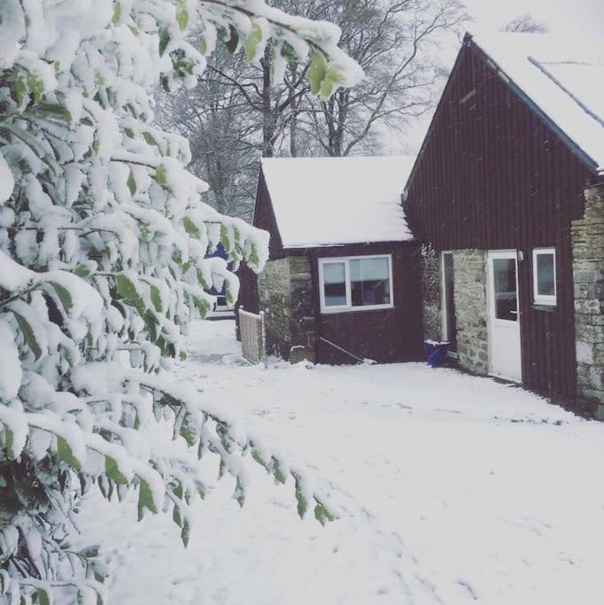 Villa Y Boidy Bach Llangranog Esterno foto