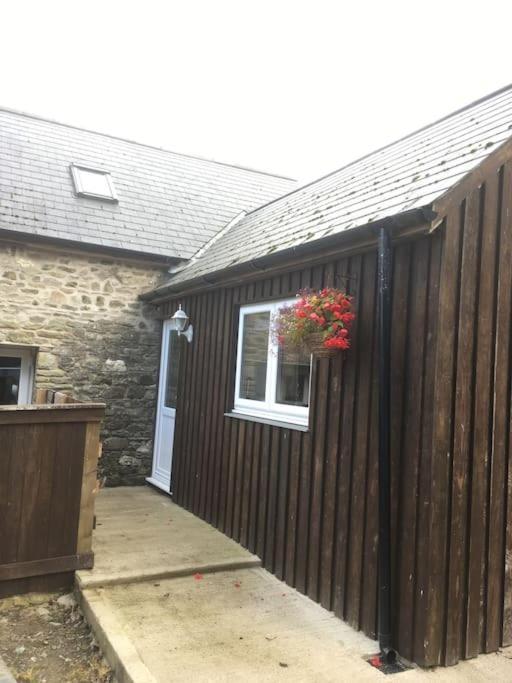 Villa Y Boidy Bach Llangranog Esterno foto